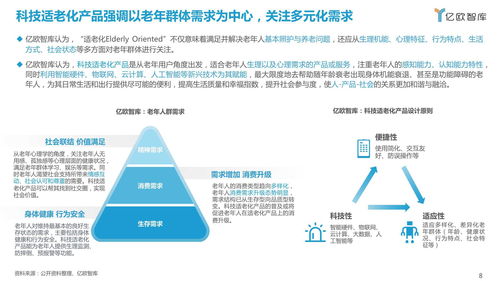 2021中國(guó)科技適老化產(chǎn)品研究報(bào)告 機(jī)遇、挑戰(zhàn)與路徑探索